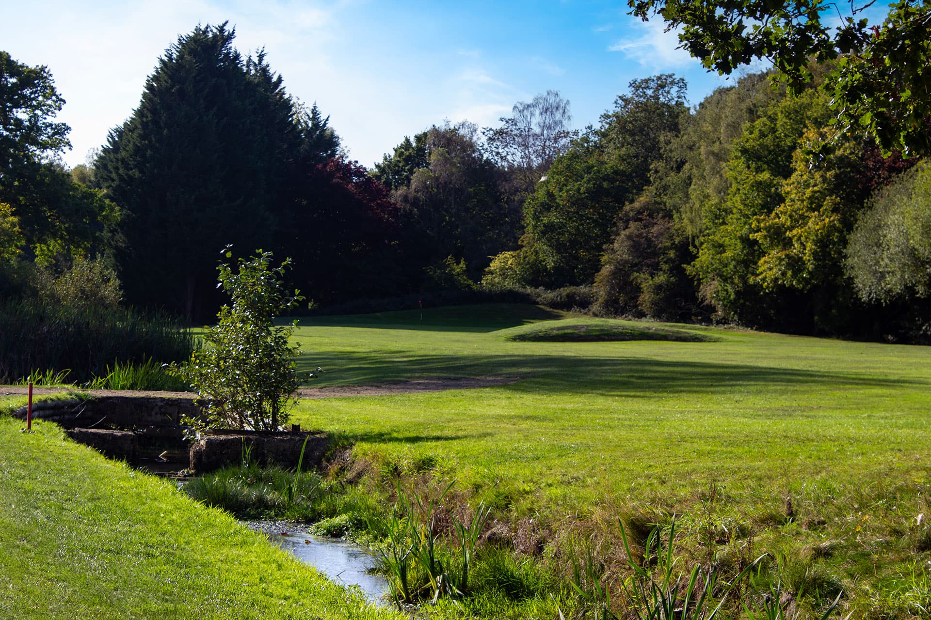 Downshire Golf Complex